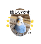 わたしむぎちゃん3（個別スタンプ：37）