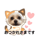うちの子一番❤️（個別スタンプ：7）