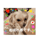 うちの子一番❤️（個別スタンプ：8）