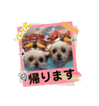 うちの子一番❤️（個別スタンプ：11）