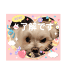 うちの子一番❤️（個別スタンプ：16）