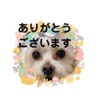 うちの子一番❤️（個別スタンプ：18）