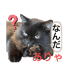 黒猫 ルナ院長75にゃんめ（個別スタンプ：2）