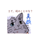 マントを着たねこ（個別スタンプ：3）