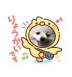 ポメラニアンの平吉スタンプ（個別スタンプ：4）