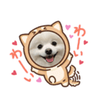 ポメラニアンの平吉スタンプ（個別スタンプ：14）
