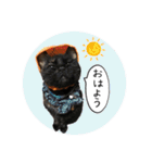 ちょこなっつじじ♡（個別スタンプ：5）