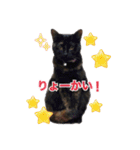 ちょこなっつじじ♡（個別スタンプ：7）