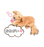 ちょこなっつじじ♡（個別スタンプ：9）