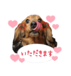 ちょこなっつじじ♡（個別スタンプ：17）