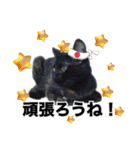 ちょこなっつじじ♡（個別スタンプ：20）