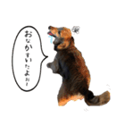 ちょこなっつじじ♡（個別スタンプ：21）
