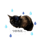 ちょこなっつじじ♡（個別スタンプ：27）