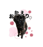 ちょこなっつじじ♡（個別スタンプ：32）