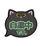 黒猫ちゃん敬語吹き出しスタンプ○○中002（個別スタンプ：14）