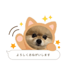 日常使いができるこむちゃんのスタンプ♩（個別スタンプ：2）