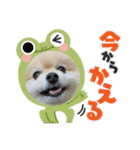 日常使いができるこむちゃんのスタンプ♩（個別スタンプ：3）