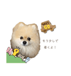 日常使いができるこむちゃんのスタンプ♩（個別スタンプ：4）