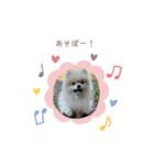 日常使いができるこむちゃんのスタンプ♩（個別スタンプ：8）