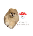 日常使いができるこむちゃんのスタンプ♩（個別スタンプ：9）