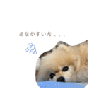 日常使いができるこむちゃんのスタンプ♩（個別スタンプ：10）