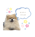 日常使いができるこむちゃんのスタンプ♩（個別スタンプ：11）