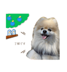 日常使いができるこむちゃんのスタンプ♩（個別スタンプ：13）