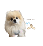 日常使いができるこむちゃんのスタンプ♩（個別スタンプ：26）
