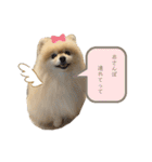 日常使いができるこむちゃんのスタンプ♩（個別スタンプ：30）