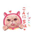 LaLa meow meow 日本語（個別スタンプ：1）