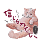 LaLa meow meow 日本語（個別スタンプ：5）