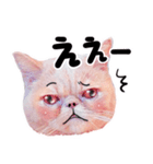 LaLa meow meow 日本語（個別スタンプ：11）