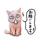 LaLa meow meow 日本語（個別スタンプ：12）