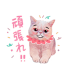 LaLa meow meow 日本語（個別スタンプ：22）