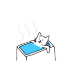 白猫にょん太郎（個別スタンプ：5）