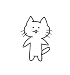 白猫にょん太郎（個別スタンプ：11）