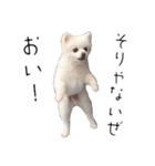 しあん その参（個別スタンプ：11）
