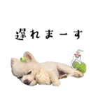 しあん その参（個別スタンプ：14）