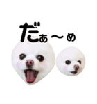 しあん その参（個別スタンプ：21）