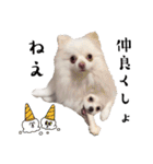 しあん その参（個別スタンプ：22）