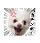 しあん その参（個別スタンプ：26）