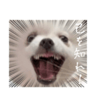 しあん その参（個別スタンプ：32）