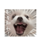 しあん その参（個別スタンプ：33）