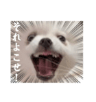 しあん その参（個別スタンプ：35）