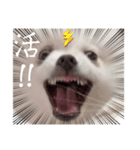 しあん その参（個別スタンプ：36）