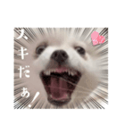 しあん その参（個別スタンプ：37）