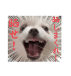 しあん その参（個別スタンプ：38）