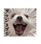 しあん その参（個別スタンプ：40）