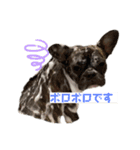 sia's mood2（個別スタンプ：5）