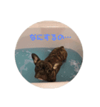 sia's mood2（個別スタンプ：7）